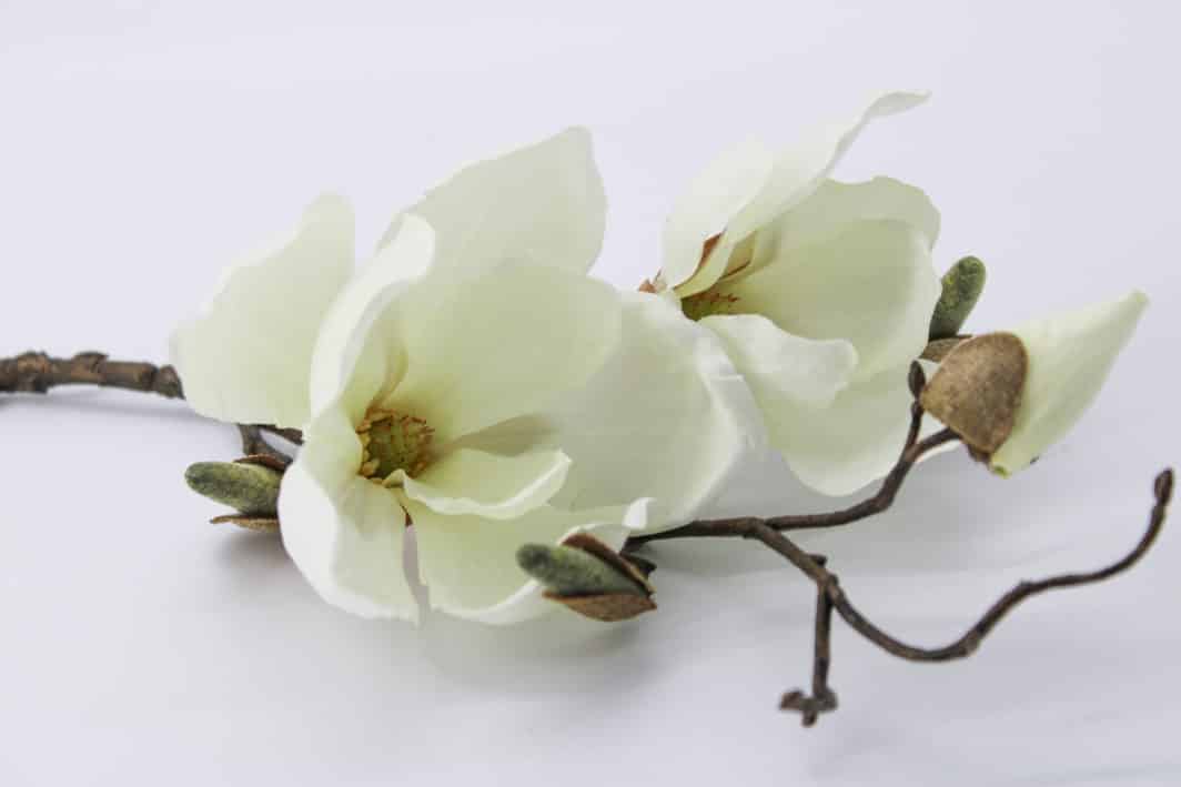 Faux magnolia stem