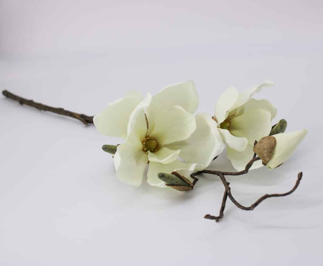 Faux magnolia stem